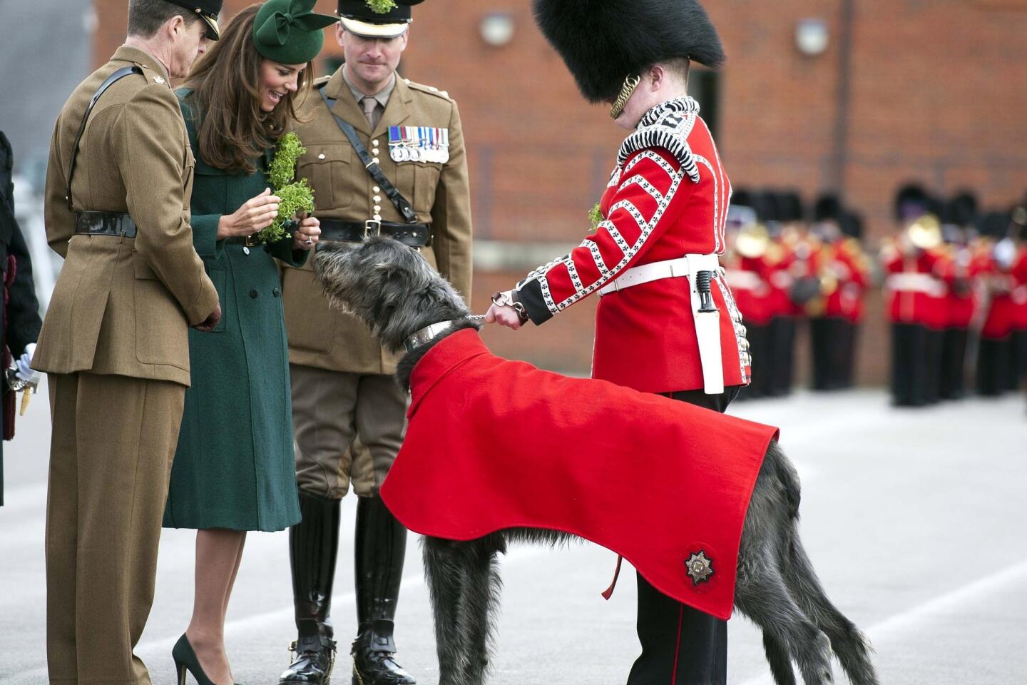 Kate Middleton, Prince William honor war vets on Poppy Day - Los